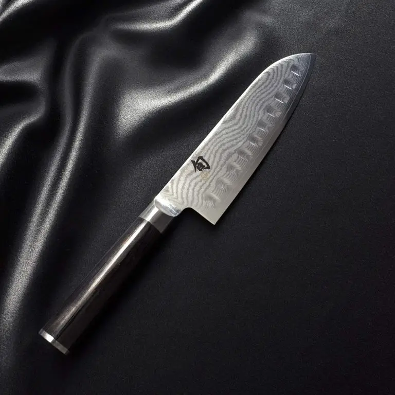 Best Chef Knife In The World 2022 (Ideal For Anyone Who Loves To Cook