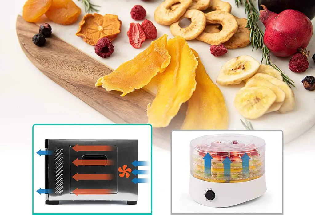 Square shape dehydrator vs Round shape dehydrator